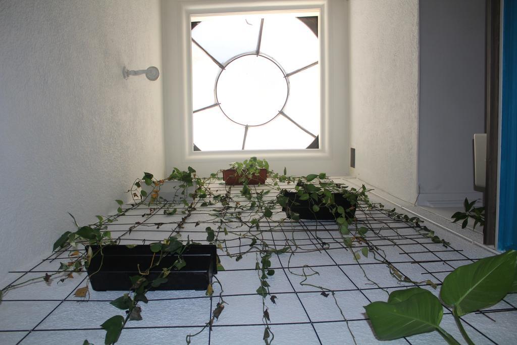 Hostal Samarian Coffe Work Hostel